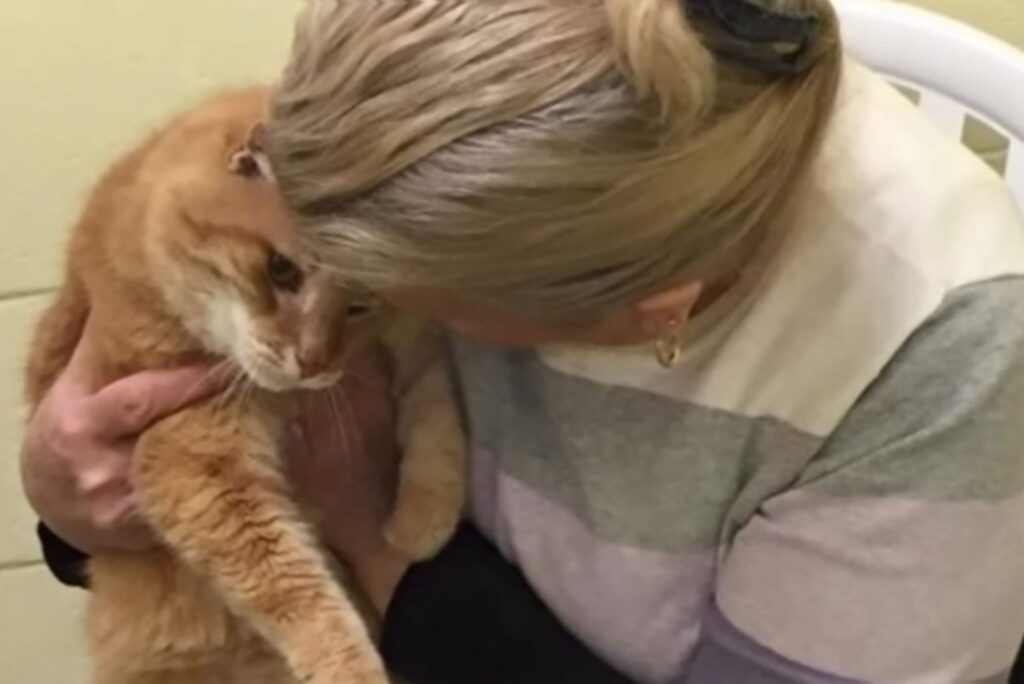 blonde woman and cat