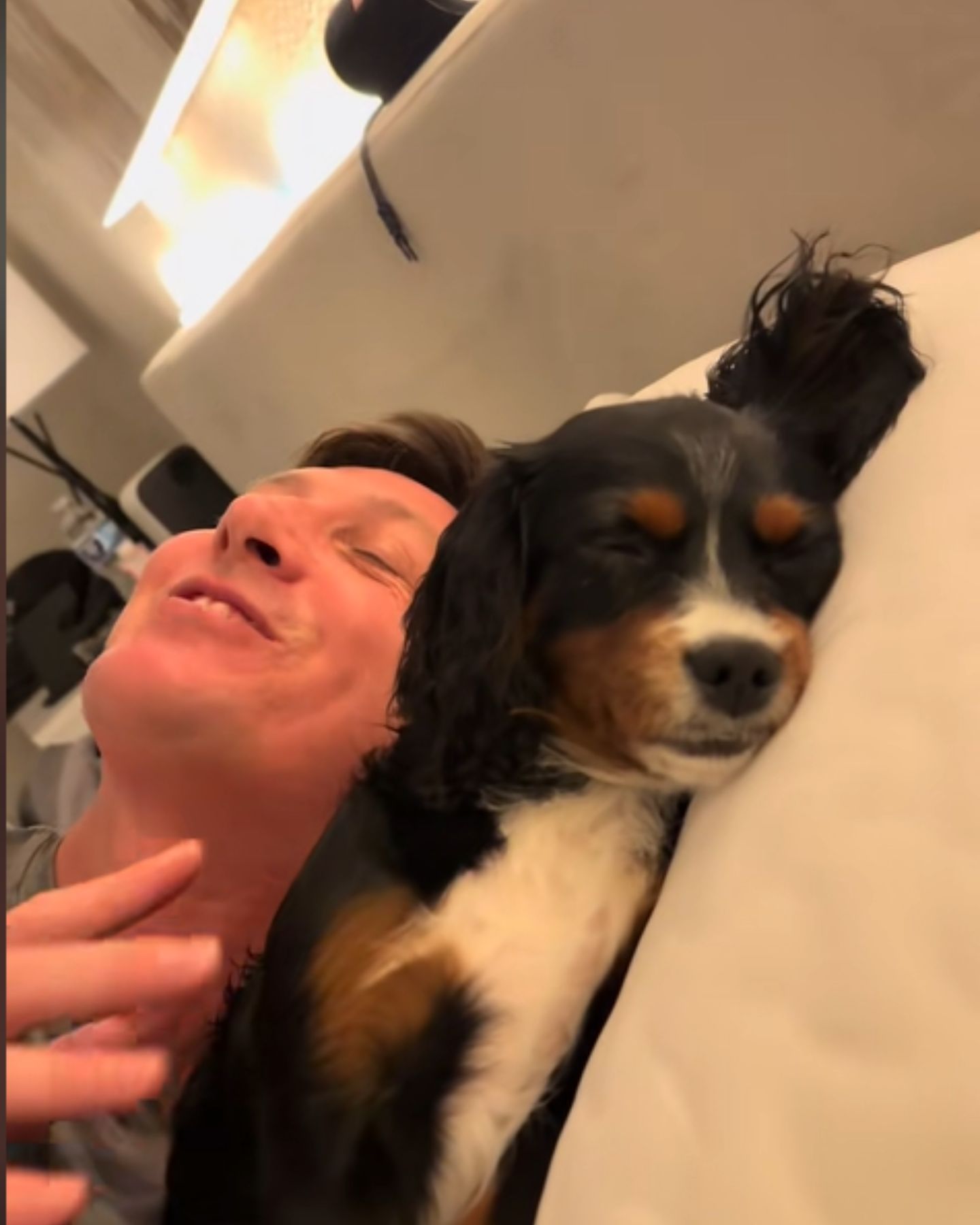 dog and owner sleeping