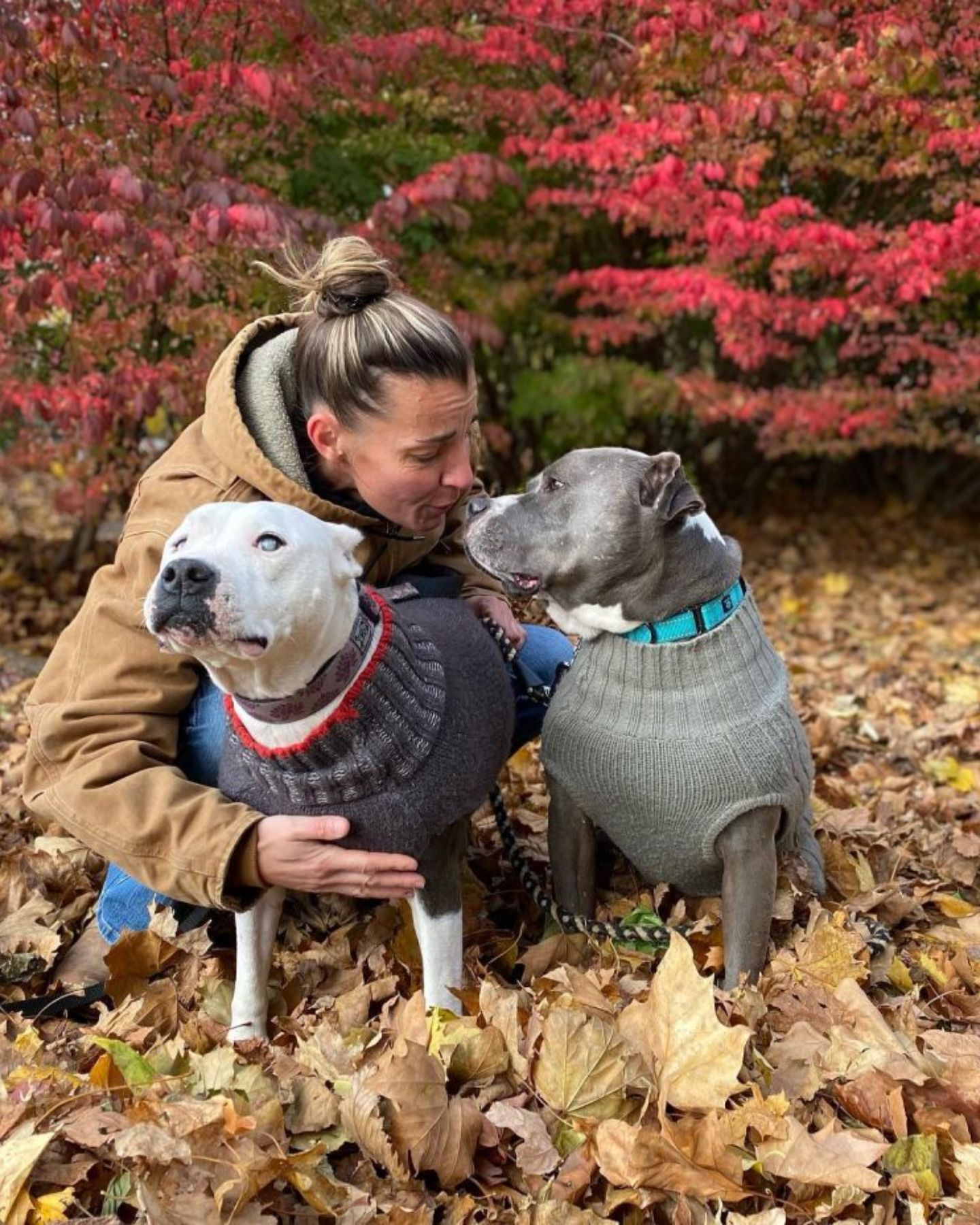 woman and two dogs