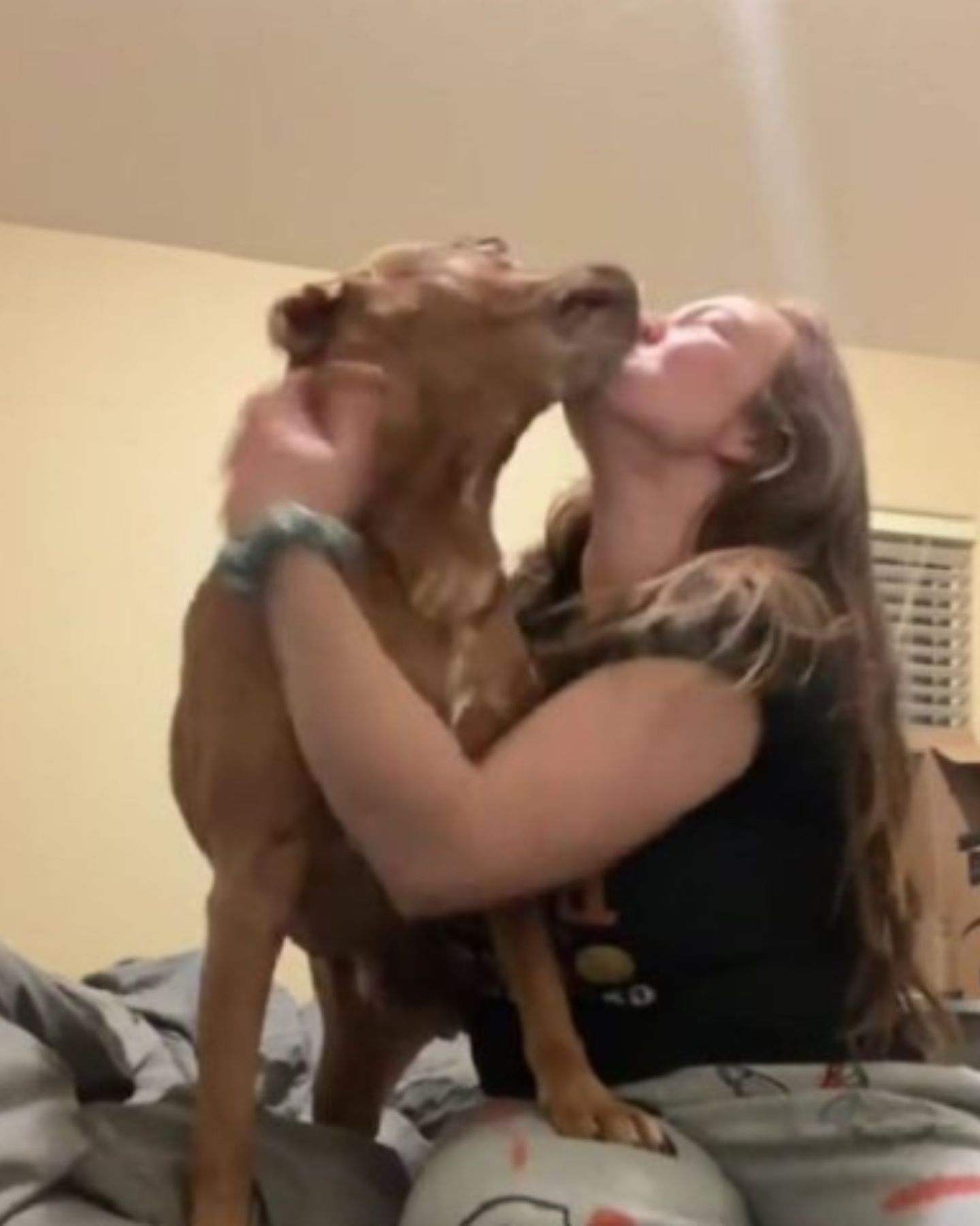 woman kissing a brown dog