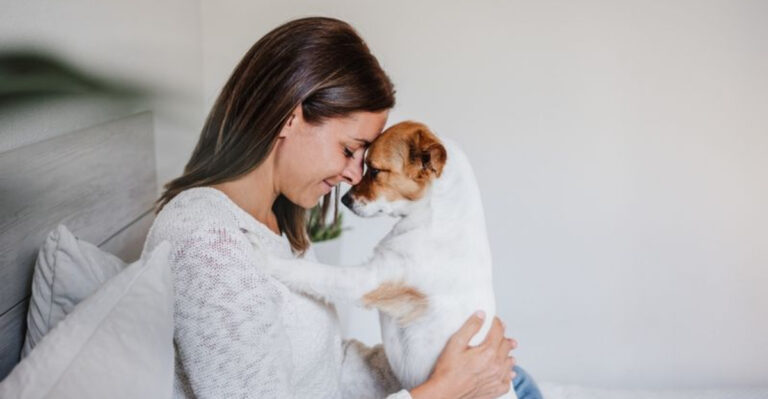 10 Indicators That Your Dog Has Imprinted On You