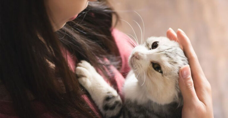 10 Tell-Tale Signs That Your Cat Is Living Its Best Life
