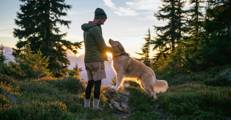 Fun And Safe Outdoor Adventures You Can Share With Your Dog