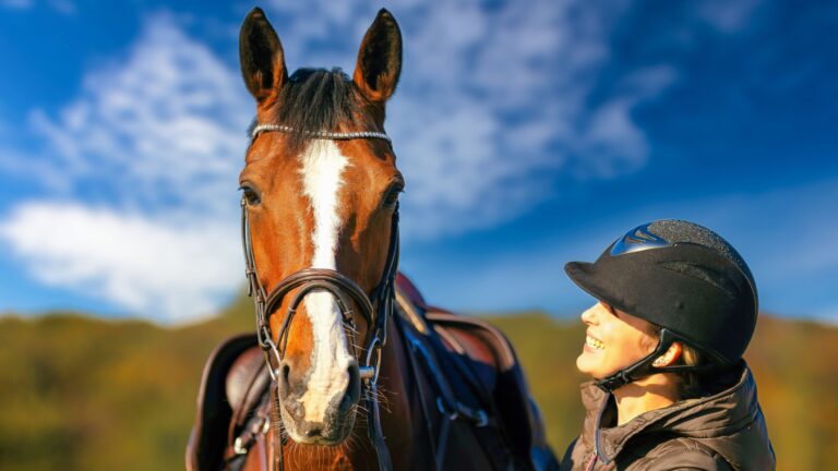 11 Key Indicators Your Horse Is Happy