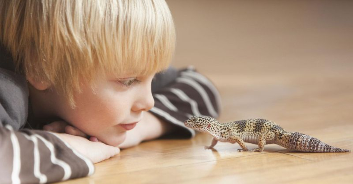 11 Reptiles That Actually Enjoy Human Interaction