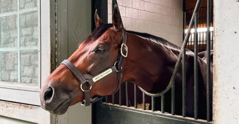 11 Signs You’re Ready To Own A Horse (And 5 Reasons You Might Not Be)