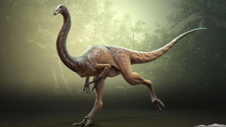 12 Dinosaurs Known For Their Incredible Speed