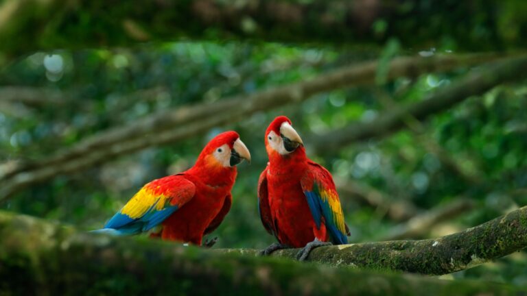 12 Fascinating Animals That Live Longer Than You Think