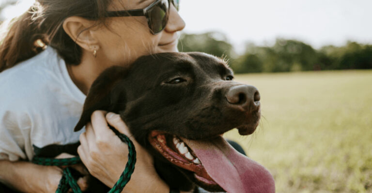 12 Heartfelt Ways To Strengthen The Bond With Your Rescue Dog