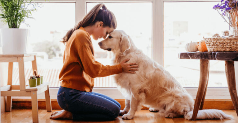 12 Reasons Dogs Are The Ultimate Companions For Happiness And Health