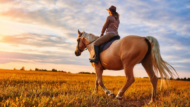 12 Rookie Mistakes Horse Owners Should Avoid