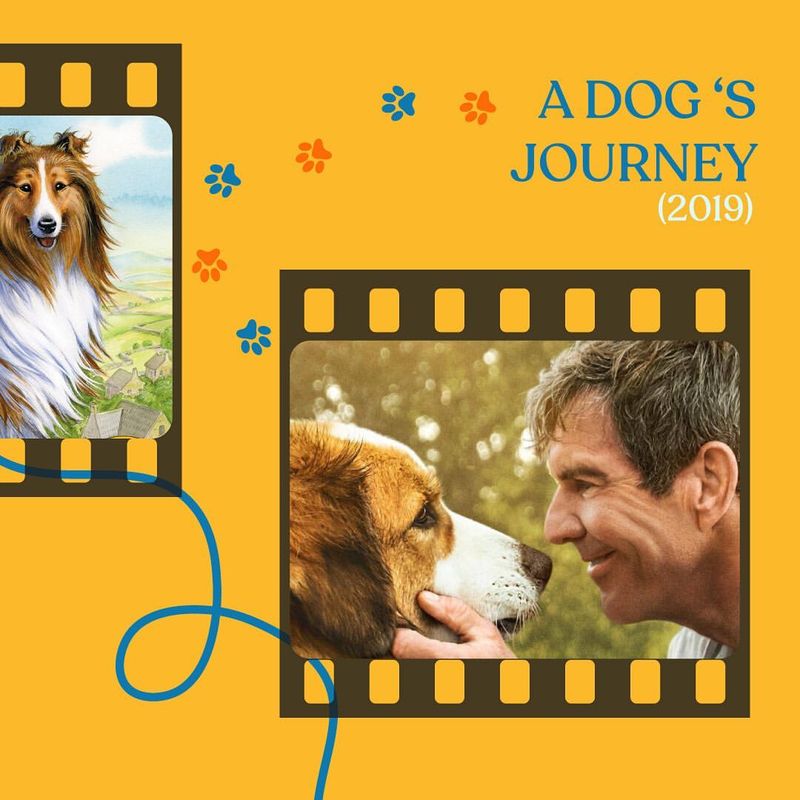 A Dog’s Journey (2019)