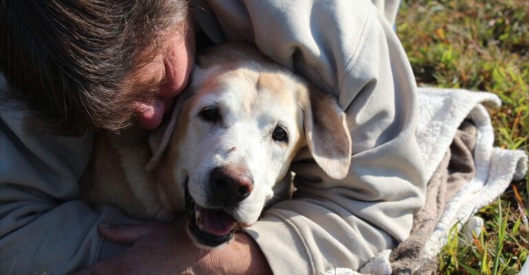14 Comforting Things Your Late Dog Wants You To Remember