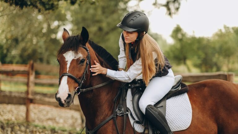 14 Must-Know Horse Terms For Equestrians