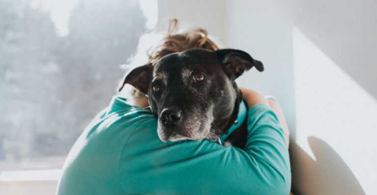 15 Things Your Dog Would Want You To Know After They’re Gone