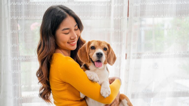 16 Perks Of Having A Beagle In The Family
