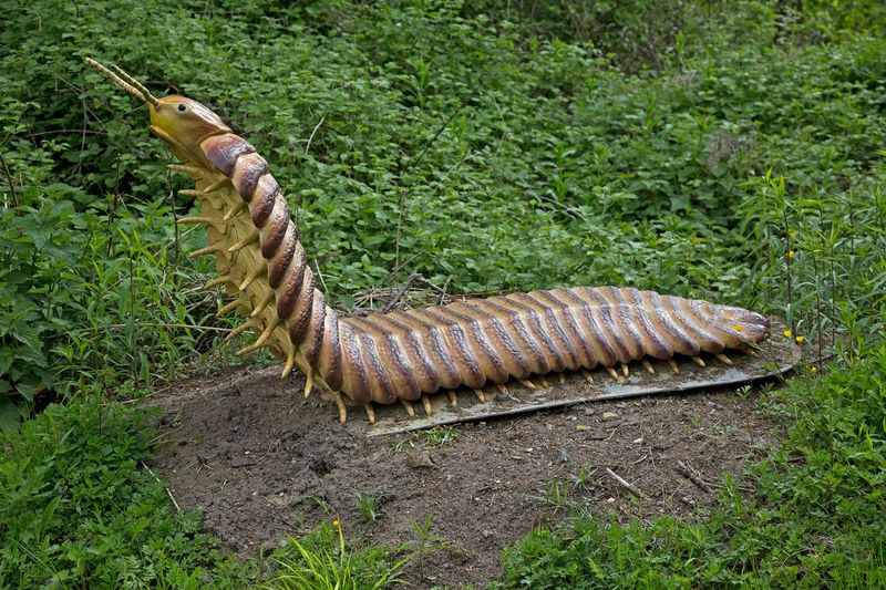 16 Prehistoric Giants That Existed Before Dinosaurs 16 Prehistoric Giants That Existed Before Dinosaurs