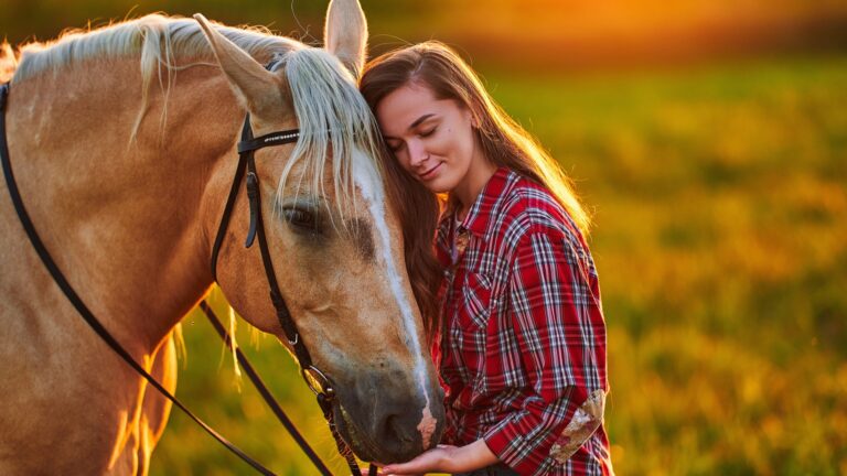 16 Random Facts About Horses That Will Make You Love Them Even More