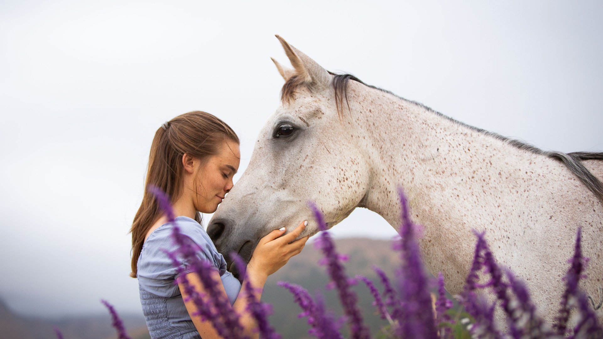 17 Amazing Horse Breeds For Equine Therapy