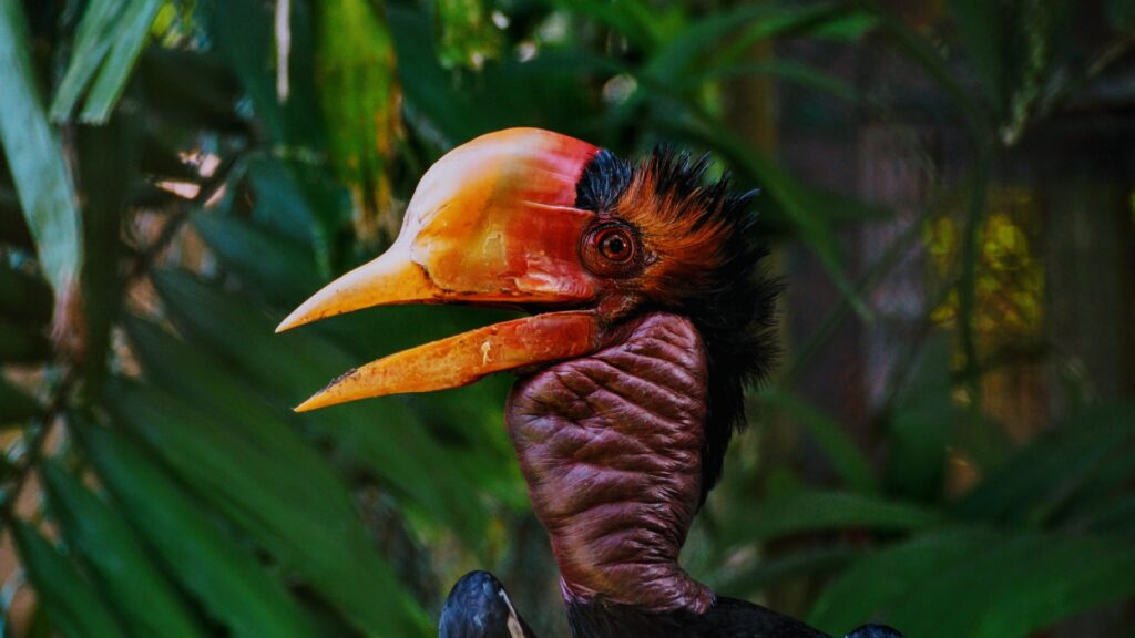 20 Birds Rocking The Most Bizarre Beaks