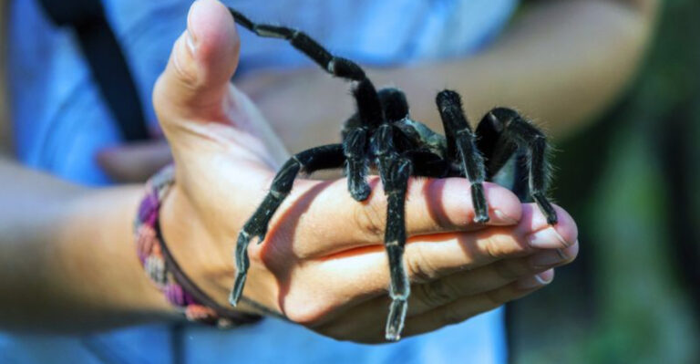 34 Shocking Misconceptions About Wild Animals You Probably Believe