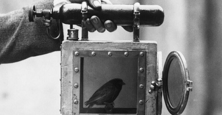 8 Animals That Made A Huge Impact On History