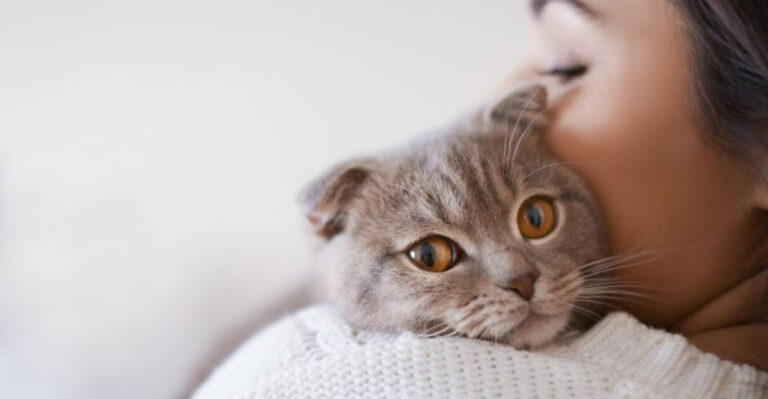 8 Incredible Animals That Can Detect Human Diseases