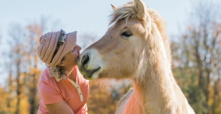 9 Affectionate Horse Breeds That Will Win You Over