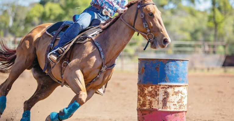 9 Horse Breeds That Are Perfect For Barrel Racing