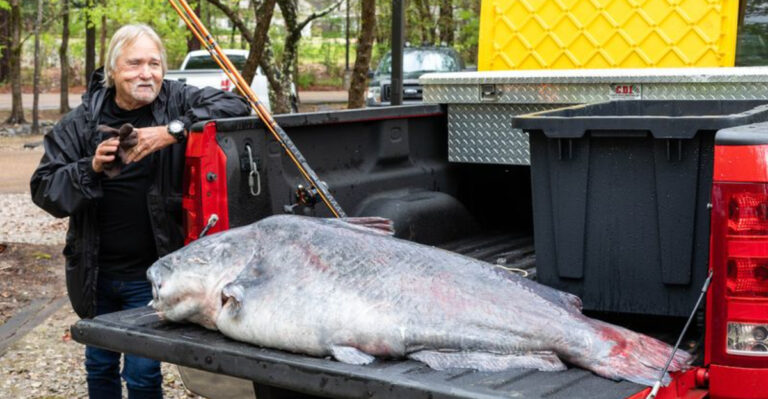 A Record-Breaking Catfish Has Been Caught In The Mississippi River