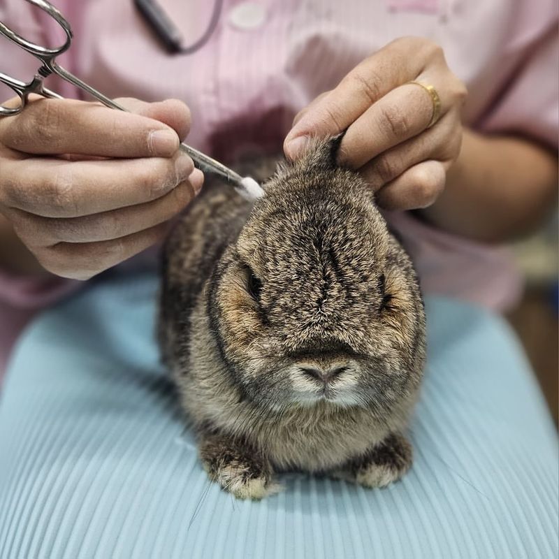 Low Maintenance Grooming