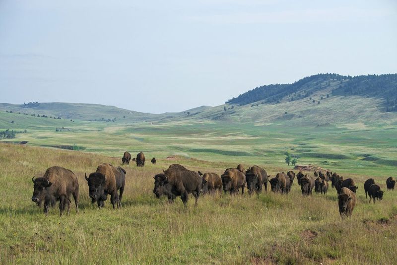 South Dakota