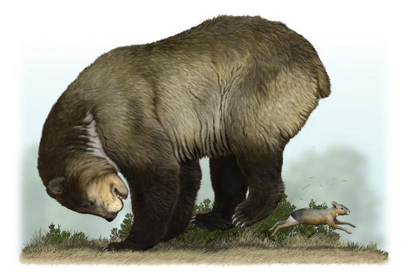 Arctotherium