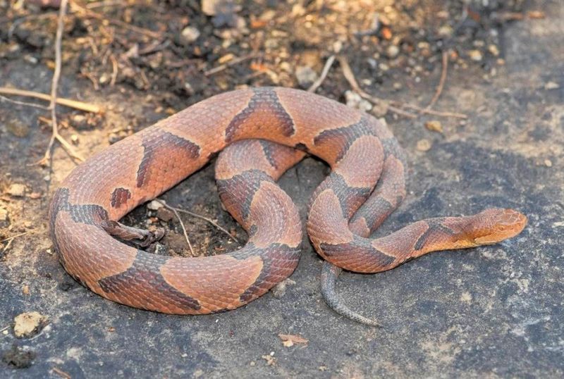 Arkansas