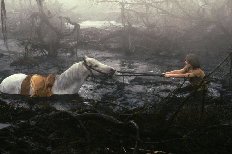 Artax – The NeverEnding Story