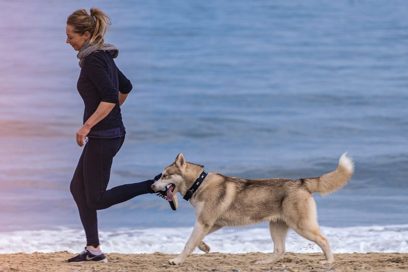 Balancing Rest And Activity