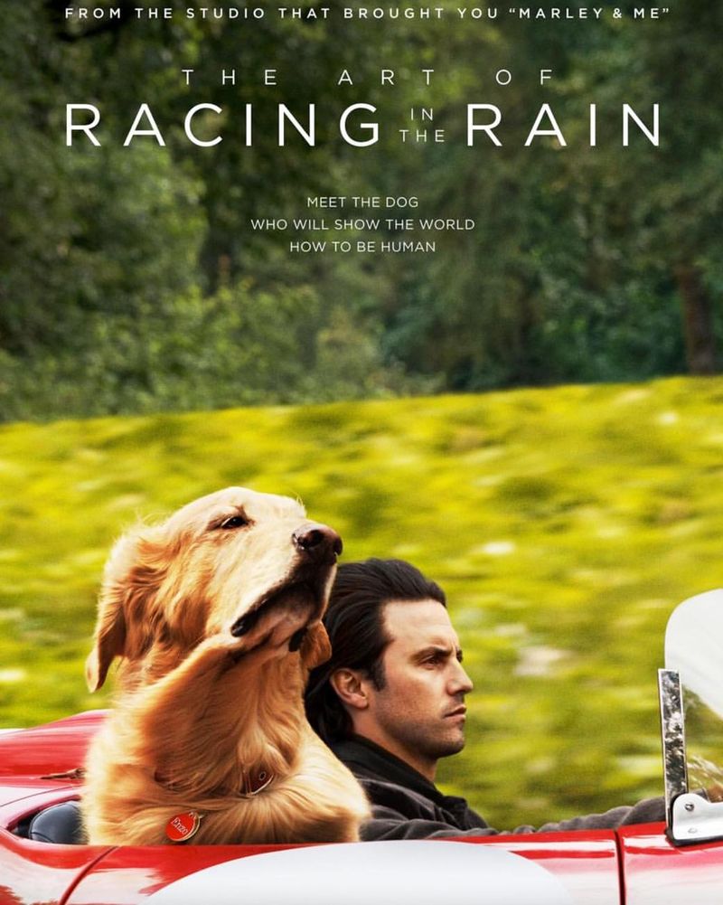 The Art Of Racing In The Rain (2019)