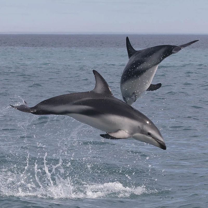 Kaikoura, New Zealand