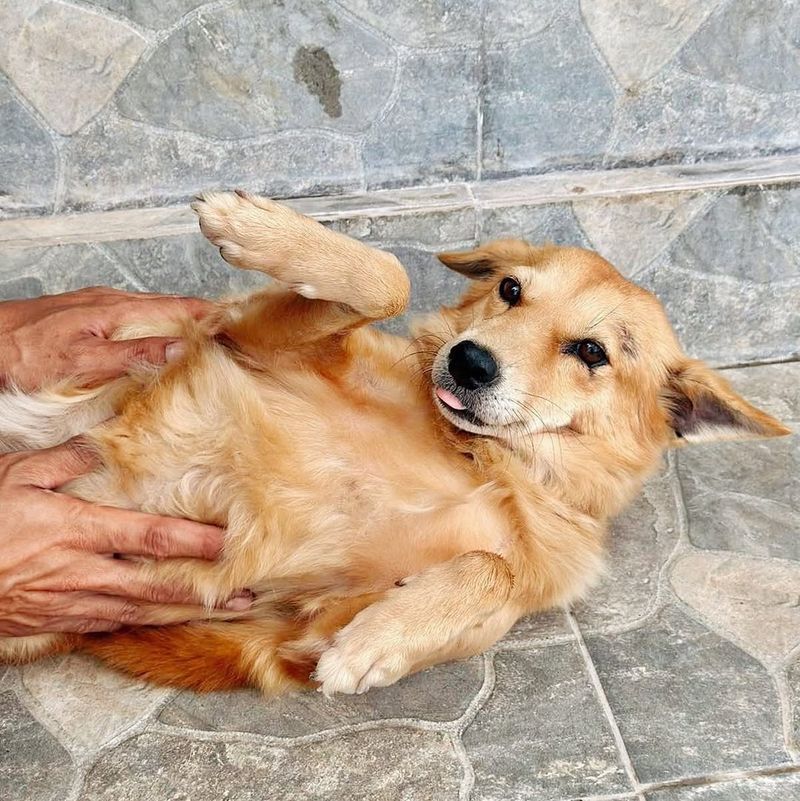 The Power Of Belly Rubs