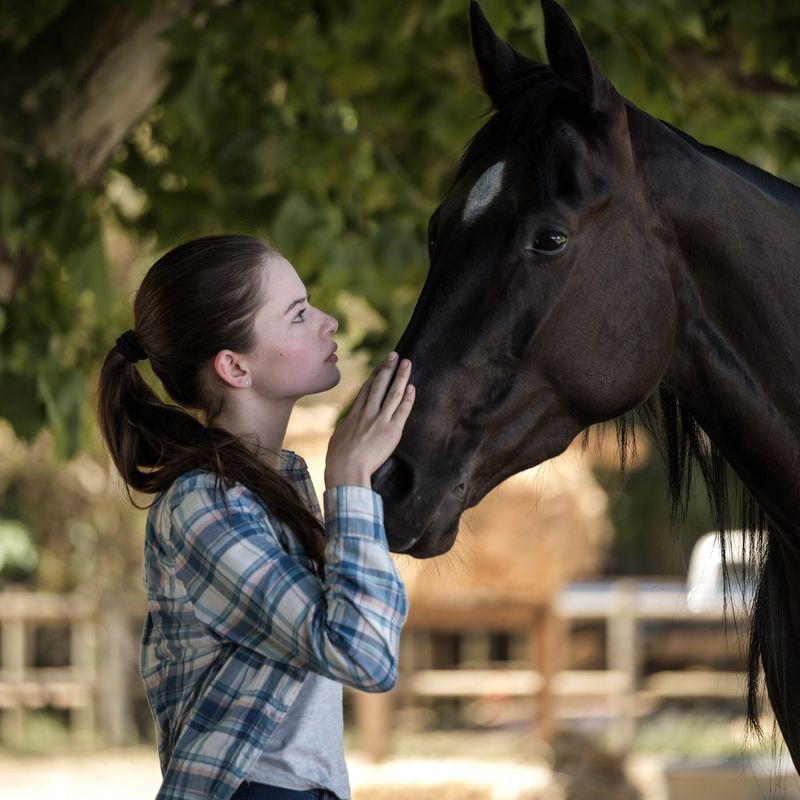 Black Beauty – Black Beauty