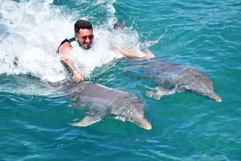 Dolphin Discovery, Mexico