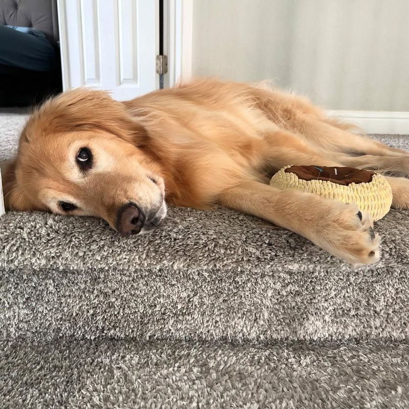 Boredom With Food