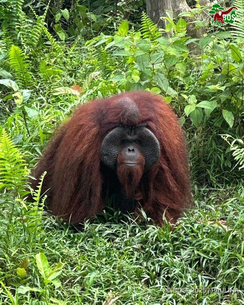 Rasa Ria Nature Reserve, Malaysia