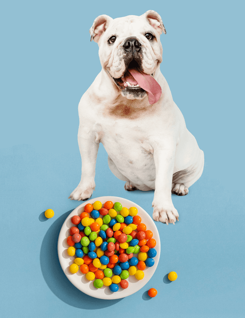 Candies And Sweets