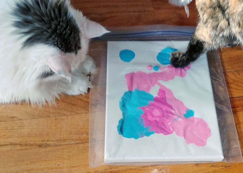 Cat Art Therapy
