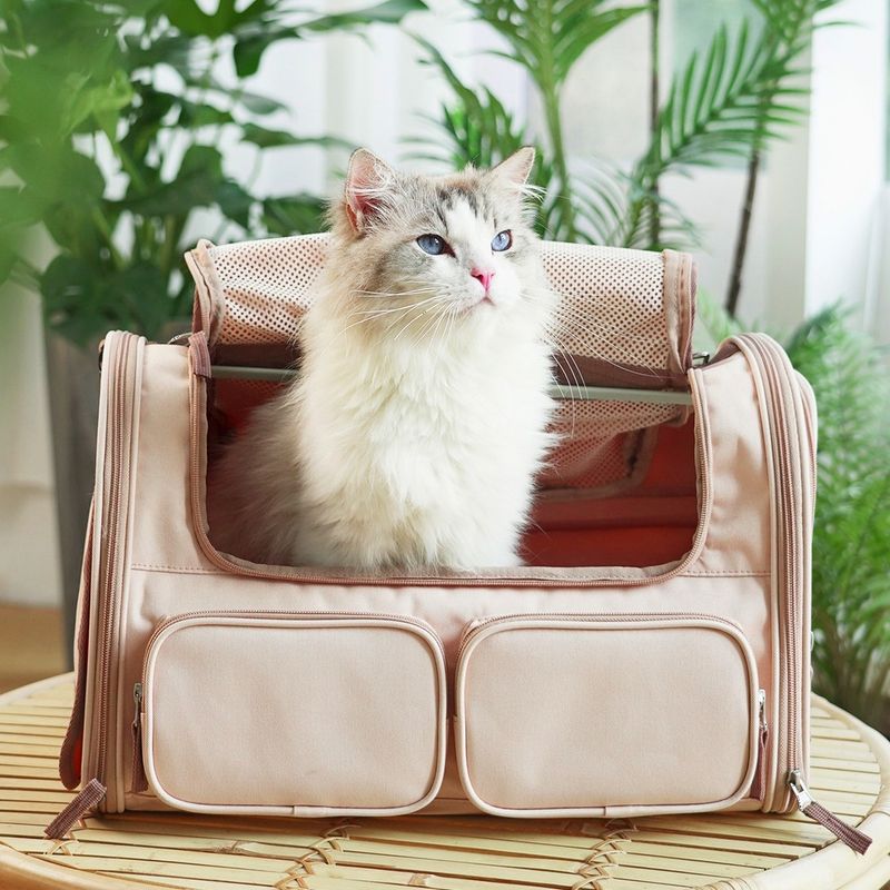 Cat Carrier