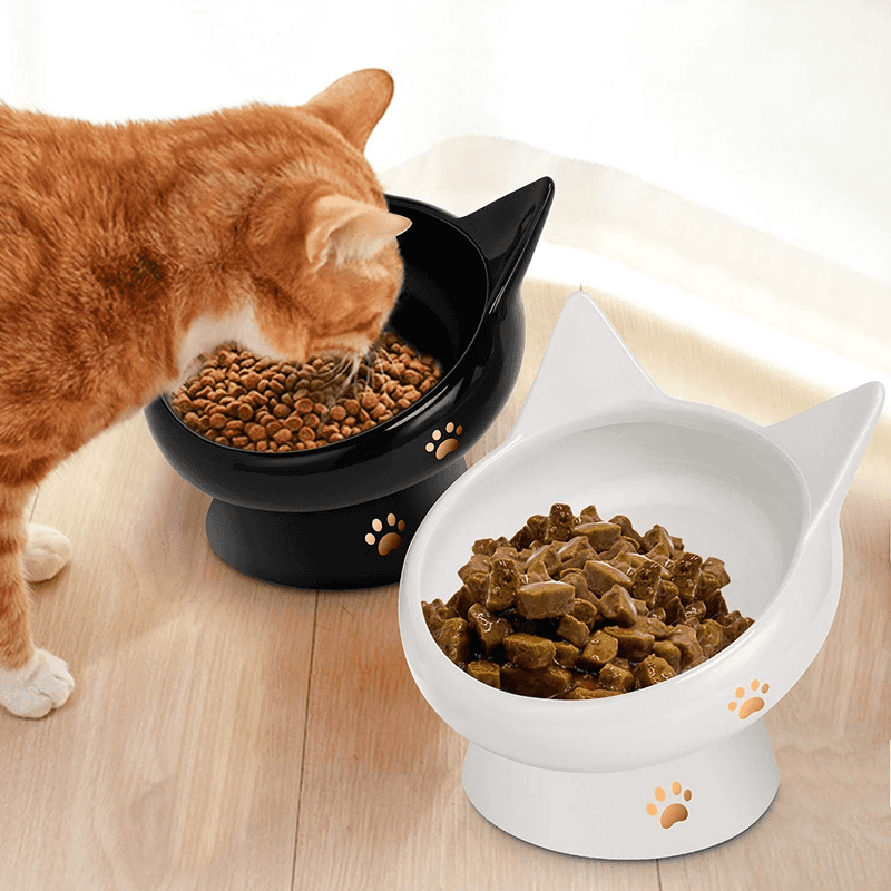 Elevated Food Bowls