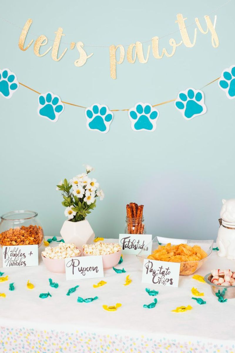 Celebrate Life With A Pet Party