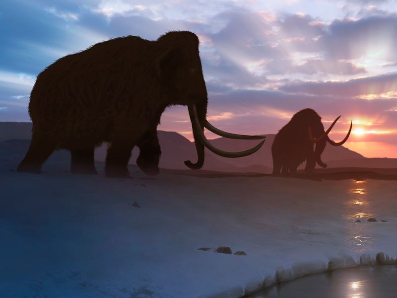 Reviving Ecosystems with Mammoths