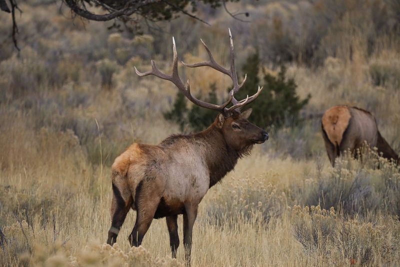 Wyoming